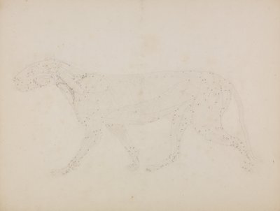 Vergleichende anatomische Darstellung der Struktur des menschlichen Körpers mit der eines Tigers und einer Kuh von George Stubbs